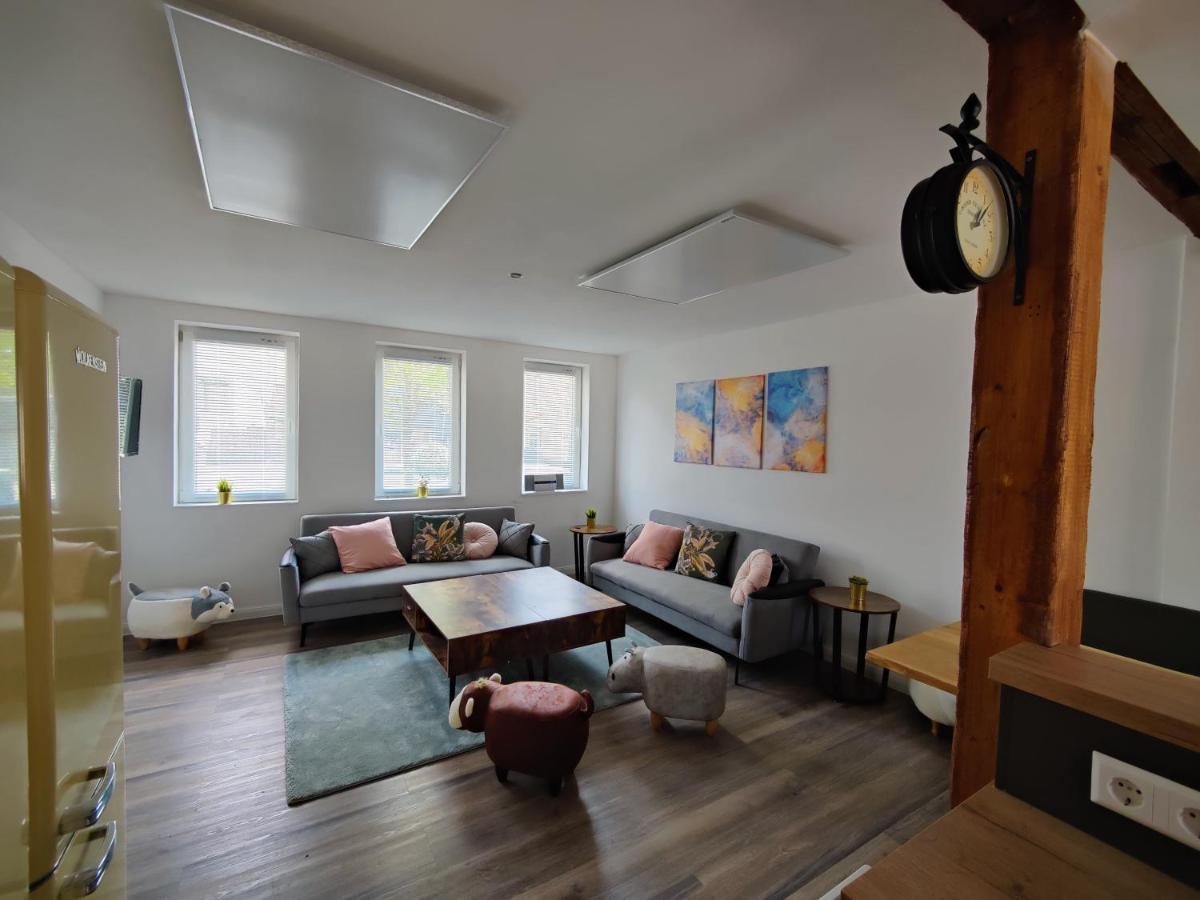 Tolles Schoenes Ferienhaus Mit Grosser Grillterrasse Fuer 12 Personen Im Harz Санкт-Андреасберг Екстер'єр фото